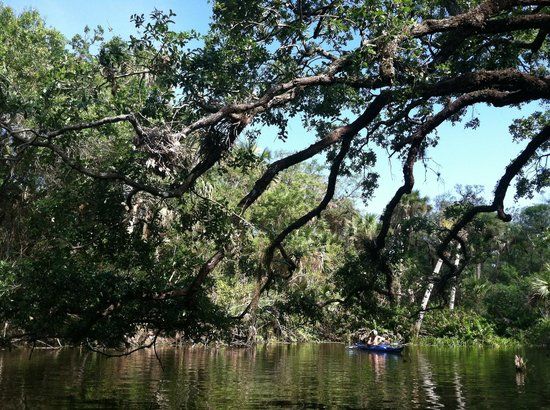 Ten Mile Creek Preserve